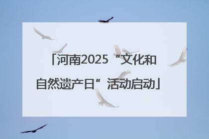 河南2025“文化和自然遗产日”活动启动