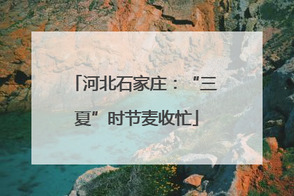 河北石家庄：“三夏”时节麦收忙