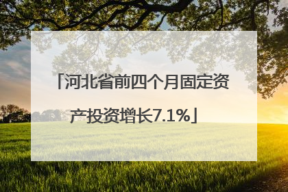 河北省前四个月固定资产投资增长7.1%
