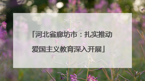 河北省廊坊市：扎实推动爱国主义教育深入开展