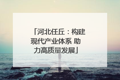 河北任丘：构建现代产业体系 助力高质量发展