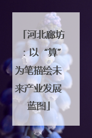 河北廊坊：以“算”为笔描绘未来产业发展蓝图