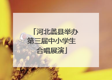 河北蠡县举办第三届中小学生合唱展演