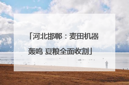 河北邯郸：麦田机器轰鸣 夏粮全面收割