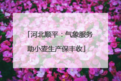 河北顺平：气象服务助小麦生产保丰收