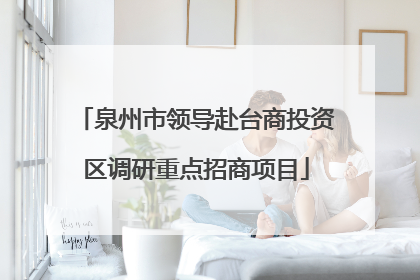 泉州市领导赴台商投资区调研重点招商项目