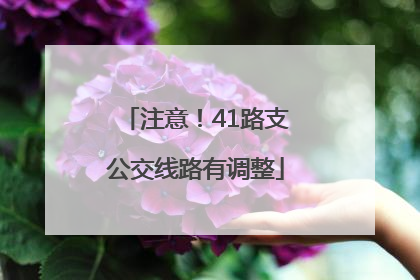注意！41路支公交线路有调整