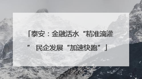 泰安：金融活水“精准滴灌” 民企发展“加速快跑”