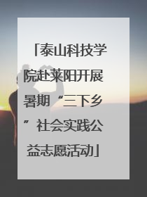 泰山科技学院赴莱阳开展暑期“三下乡”社会实践公益志愿活动