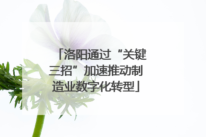 洛阳通过“关键三招”加速推动制造业数字化转型