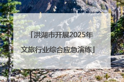 洪湖市开展2025年文旅行业综合应急演练