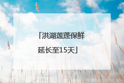 洪湖莲蓬保鲜延长至15天