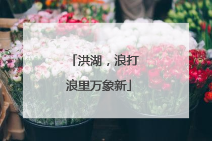 洪湖，浪打浪里万象新