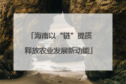 海南以“链”提质 释放农业发展新动能
