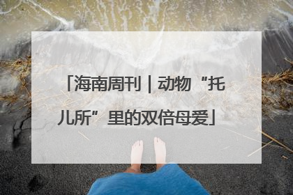 海南周刊｜动物“托儿所”里的双倍母爱