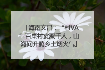 海南文昌：“村VA”百桌村宴聚千人，山海间升腾乡土烟火气