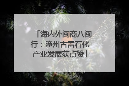 海内外闽商八闽行：漳州古雷石化产业发展获点赞