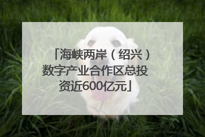海峡两岸（绍兴）数字产业合作区总投资近600亿元