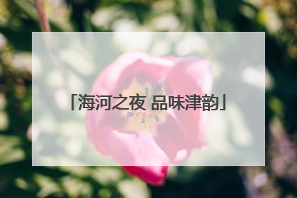 海河之夜 品味津韵