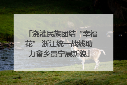 浇灌民族团结“幸福花” 浙江统一战线助力畲乡景宁展新貌