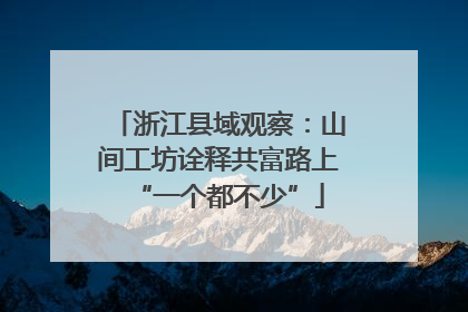浙江县域观察：山间工坊诠释共富路上“一个都不少”