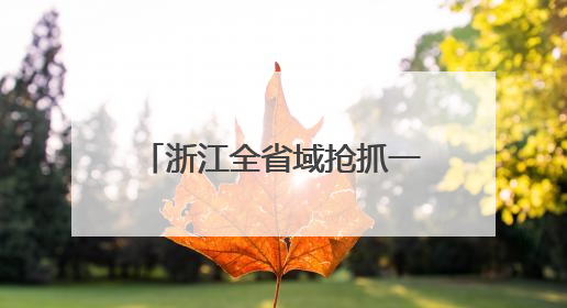 浙江全省域抢抓一体化发展新机遇：长三角织密互通网络