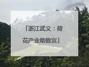 浙江武义：荷花产业助致富