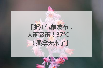 浙江气象发布：大雨暴雨！37℃！桑拿天来了