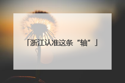 浙江认准这条“轴”