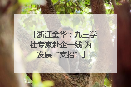 浙江金华：九三学社专家赴企一线 为发展“支招”