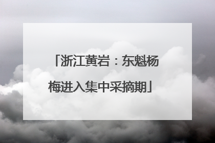浙江黄岩：东魁杨梅进入集中采摘期