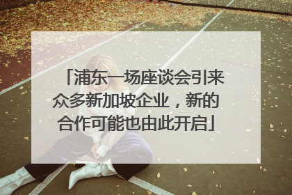 浦东一场座谈会引来众多新加坡企业，新的合作可能也由此开启