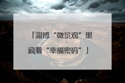 淄博“微景观”里藏着“幸福密码”