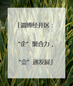 淄博经开区：“企”聚合力，“会”通发展