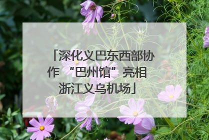 深化义巴东西部协作 “巴州馆”亮相浙江义乌机场