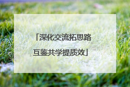 深化交流拓思路 互鉴共学提质效