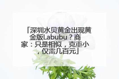 深圳水贝黄金出现黄金版Labubu？商家：只是相似，克重小，仅需几百元