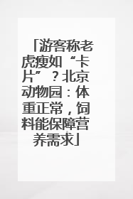 游客称老虎瘦如“卡片”？北京动物园：体重正常，饲料能保障营养需求