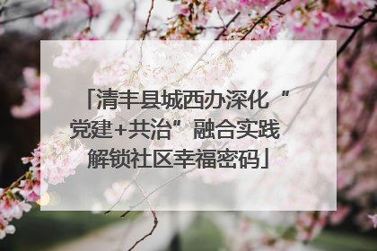 清丰县城西办深化“党建+共治”融合实践 解锁社区幸福密码