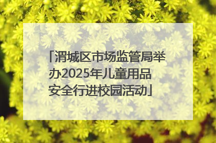 渭城区市场监管局举办2025年儿童用品安全行进校园活动