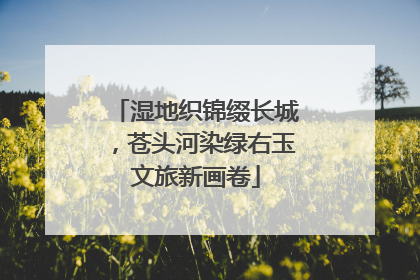湿地织锦缀长城，苍头河染绿右玉文旅新画卷