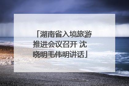 湖南省入境旅游推进会议召开 沈晓明毛伟明讲话