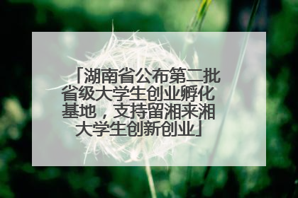 湖南省公布第二批省级大学生创业孵化基地，支持留湘来湘大学生创新创业