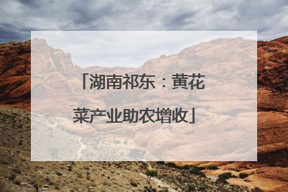 湖南祁东：黄花菜产业助农增收