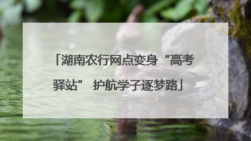 湖南农行网点变身“高考驿站” 护航学子逐梦路