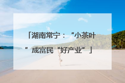 湖南常宁：“小茶叶”成富民“好产业”