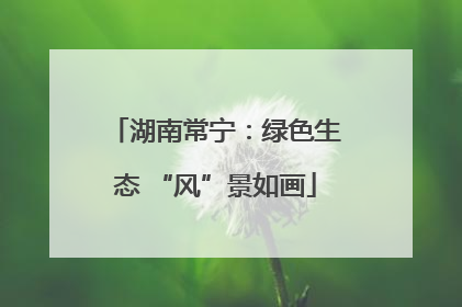 湖南常宁：绿色生态 “风”景如画