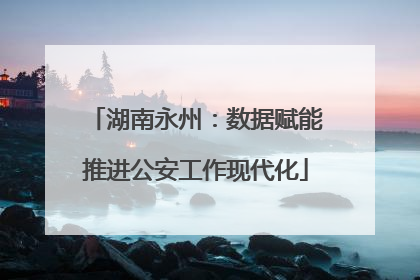 湖南永州：数据赋能推进公安工作现代化