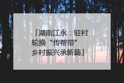 湖南江永：驻村轮换“传帮带” 乡村振兴承新篇