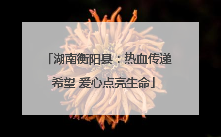 湖南衡阳县：热血传递希望 爱心点亮生命